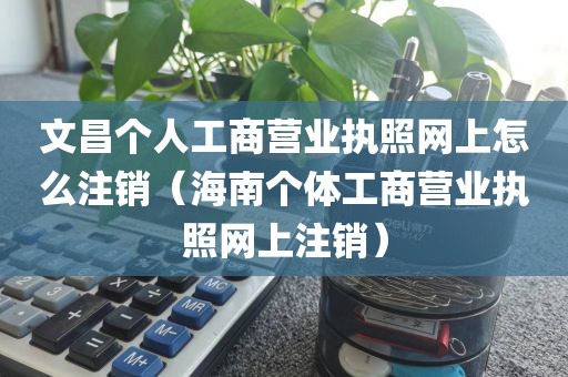 文昌个人工商营业执照网上怎么注销（海南个体工商营业执照网上注销）