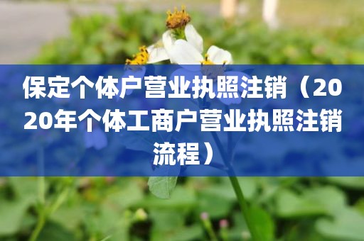 保定个体户营业执照注销（2020年个体工商户营业执照注销流程）