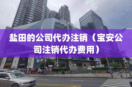 盐田的公司代办注销(宝安公司注销代办费用)