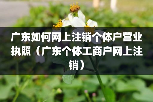 广东如何网上注销个体户营业执照（广东个体工商户网上注销）