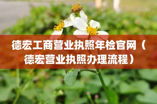 德宏工商营业执照年检官网（德宏营业执照办理流程）