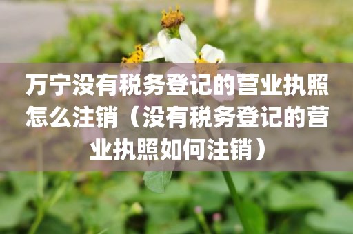 万宁没有税务登记的营业执照怎么注销（没有税务登记的营业执照如何注销）