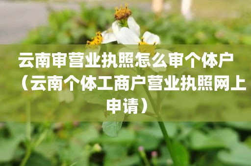 云南审营业执照怎么审个体户（云南个体工商户营业执照网上申请）