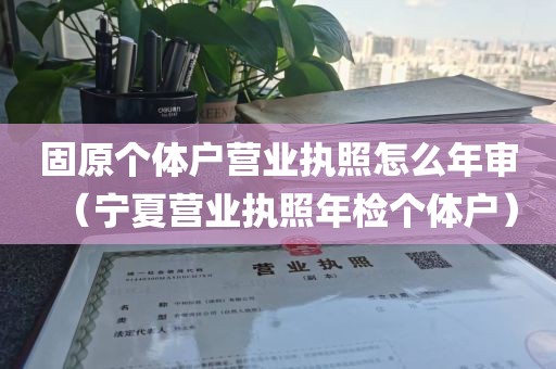 固原个体户营业执照怎么年审（宁夏营业执照年检个体户）