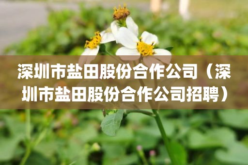 深圳市盐田股份合作公司(深圳市盐田股份合作公司招聘)
