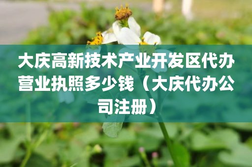 大庆高新技术产业开发区代办营业执照多少钱（大庆代办公司注册）
