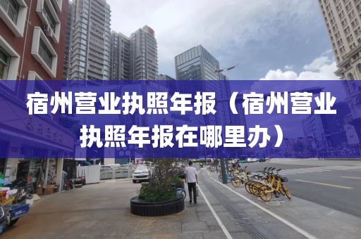 宿州营业执照年报（宿州营业执照年报在哪里办）