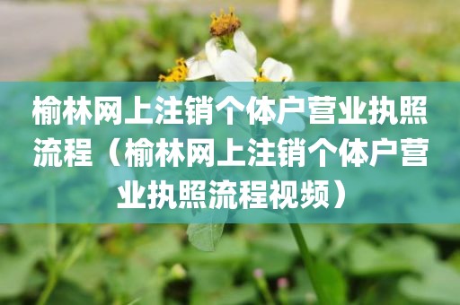 榆林网上注销个体户营业执照流程（榆林网上注销个体户营业执照流程视频）