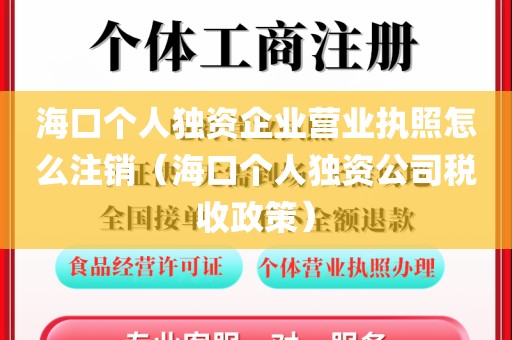 海口个人独资企业营业执照怎么注销（海口个人独资公司税收政策）