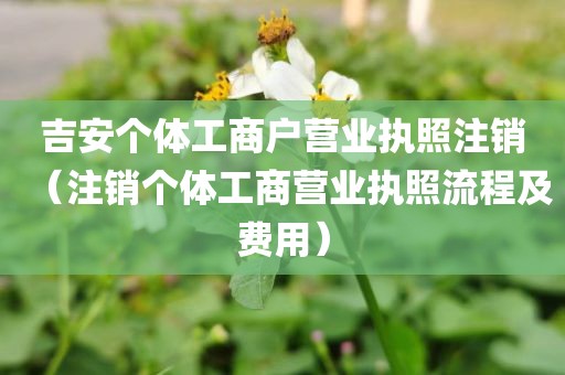 吉安个体工商户营业执照注销（注销个体工商营业执照流程及费用）