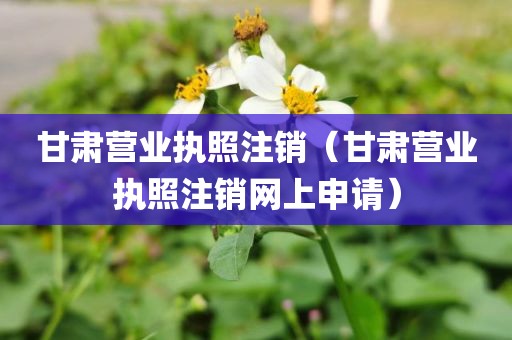 甘肃营业执照注销（甘肃营业执照注销网上申请）