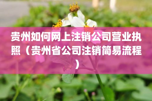 贵州如何网上注销公司营业执照（贵州省公司注销简易流程）