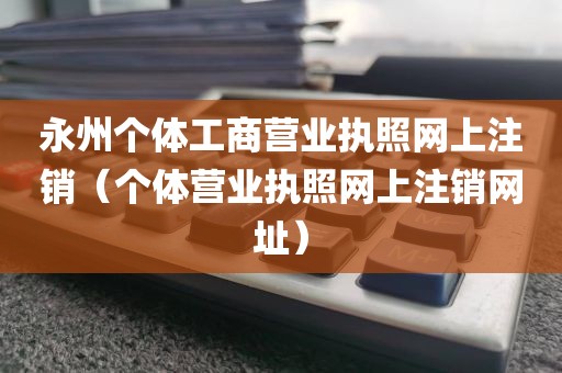 永州个体工商营业执照网上注销（个体营业执照网上注销网址）