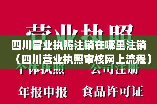 四川营业执照注销在哪里注销（四川营业执照审核网上流程）