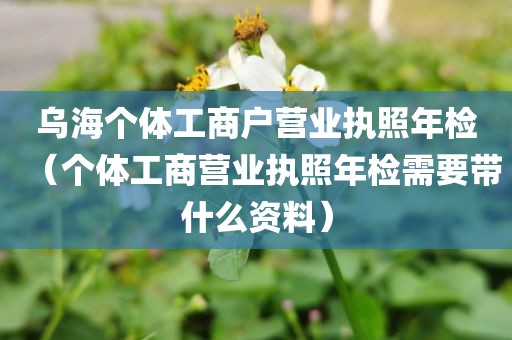乌海个体工商户营业执照年检（个体工商营业执照年检需要带什么资料）