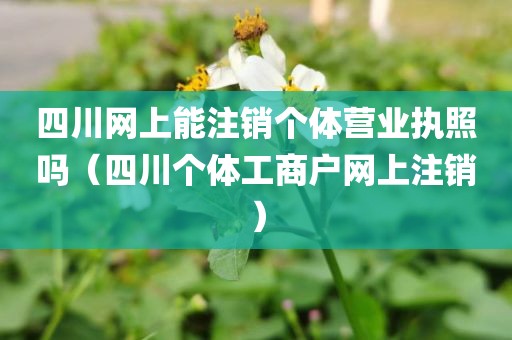 四川网上能注销个体营业执照吗(四川个体工商户网上注销)