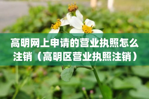 高明网上申请的营业执照怎么注销（高明区营业执照注销）