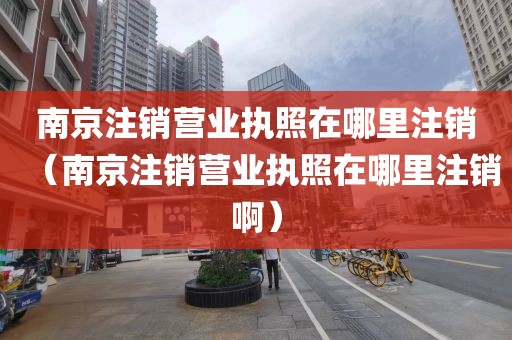 南京注销营业执照在哪里注销（南京注销营业执照在哪里注销啊）