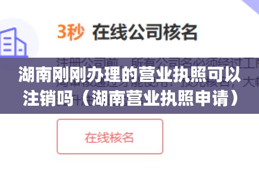 湖南刚刚办理的营业执照可以注销吗（湖南营业执照申请）