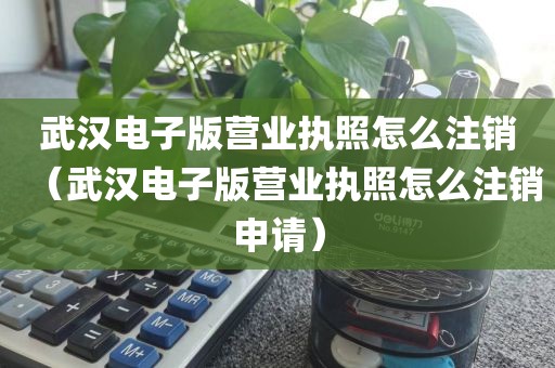 武汉电子版营业执照怎么注销（武汉电子版营业执照怎么注销申请）