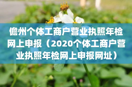 儋州个体工商户营业执照年检网上申报（2020个体工商户营业执照年检网上申报网址）