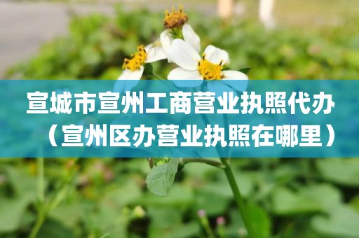 宣城市宣州工商营业执照代办(宣州区办营业执照在哪里)