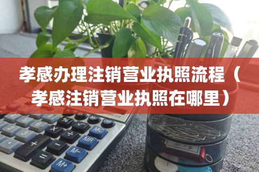 孝感办理注销营业执照流程（孝感注销营业执照在哪里）