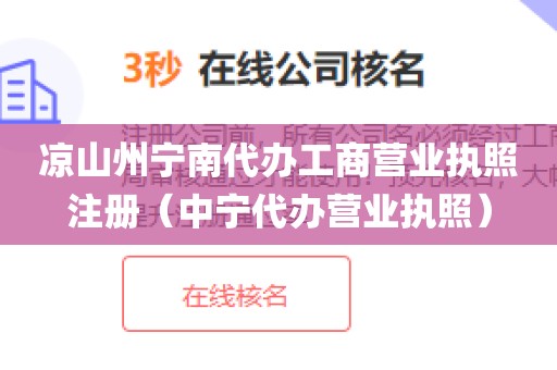 凉山州宁南代办工商营业执照注册（中宁代办营业执照）