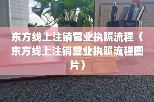 东方线上注销营业执照流程(东方线上注销营业执照流程图片)