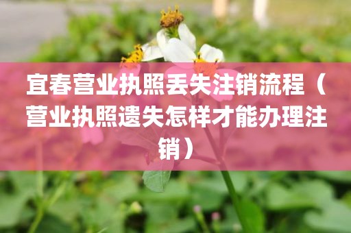 宜春营业执照丢失注销流程（营业执照遗失怎样才能办理注销）