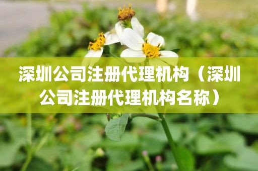 深圳公司注册代理机构（深圳公司注册代理机构名称）
