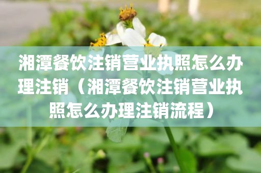 湘潭餐饮注销营业执照怎么办理注销(湘潭餐饮注销营业执照怎么办理注销流程)