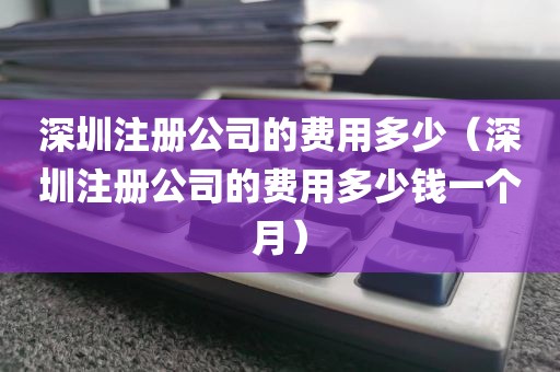 深圳注册公司的费用多少（深圳注册公司的费用多少钱一个月）