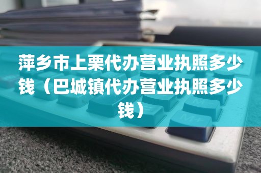 萍乡市上栗代办营业执照多少钱（巴城镇代办营业执照多少钱）