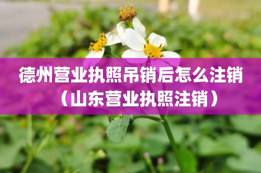 德州营业执照吊销后怎么注销（山东营业执照注销）