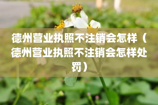德州营业执照不注销会怎样(德州营业执照不注销会怎样处罚)