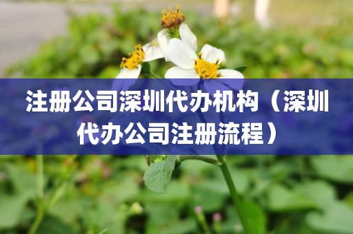注册公司深圳代办机构（深圳代办公司注册流程）