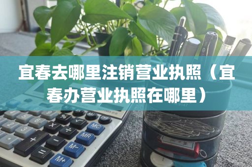 宜春去哪里注销营业执照（宜春办营业执照在哪里）