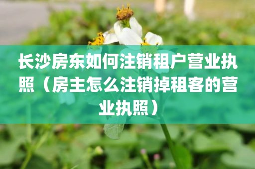长沙房东如何注销租户营业执照（房主怎么注销掉租客的营业执照）