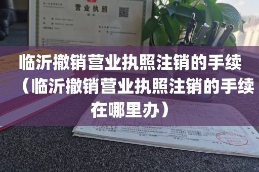 临沂撤销营业执照注销的手续（临沂撤销营业执照注销的手续在哪里办）