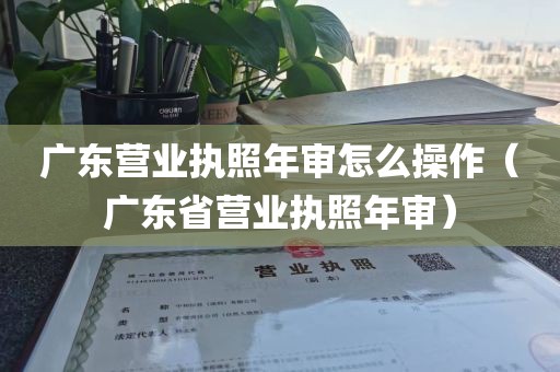 广东营业执照年审怎么操作（广东省营业执照年审）