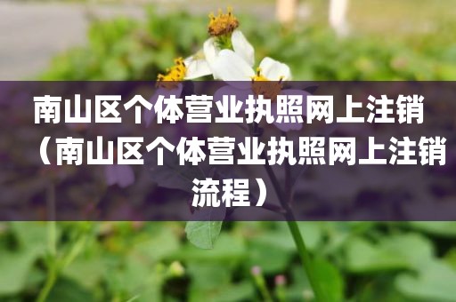 南山区个体营业执照网上注销(南山区个体营业执照网上注销流程)