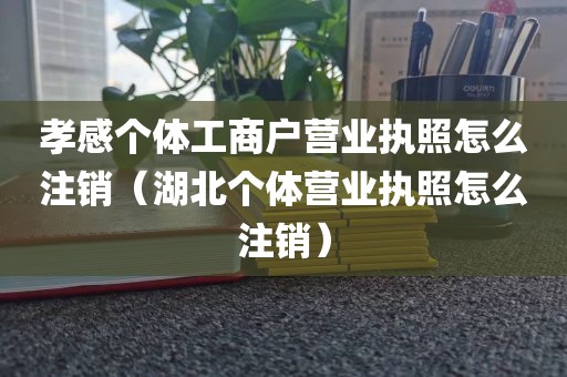 孝感个体工商户营业执照怎么注销（湖北个体营业执照怎么注销）