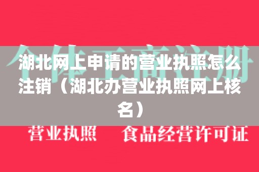 湖北网上申请的营业执照怎么注销（湖北办营业执照网上核名）