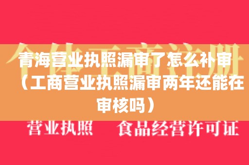 青海营业执照漏审了怎么补审（工商营业执照漏审两年还能在审核吗）