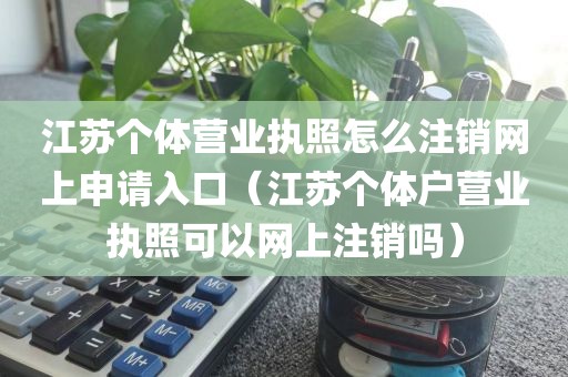 江苏个体营业执照怎么注销网上申请入口(江苏个体户营业执照可以网上注销吗)