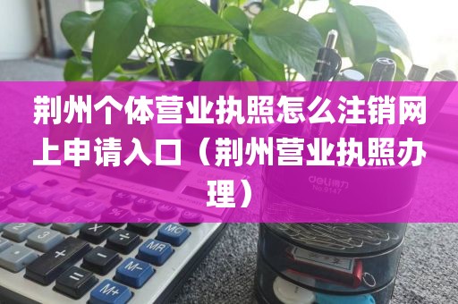 荆州个体营业执照怎么注销网上申请入口（荆州营业执照办理）
