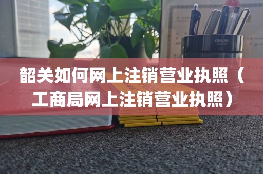 韶关如何网上注销营业执照（工商局网上注销营业执照）