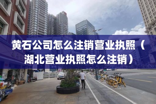 黄石公司怎么注销营业执照（湖北营业执照怎么注销）