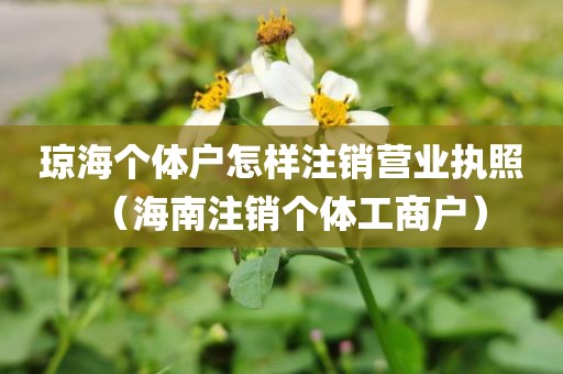 琼海个体户怎样注销营业执照（海南注销个体工商户）